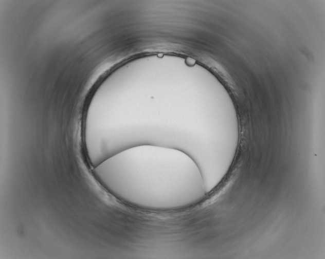 X0000111481130200907141037
