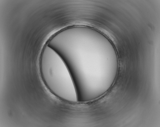 X0000111481133200907141037