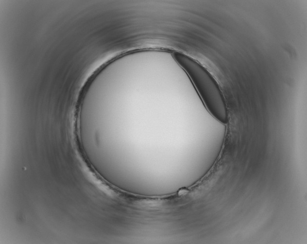 X0000111481134200907141037