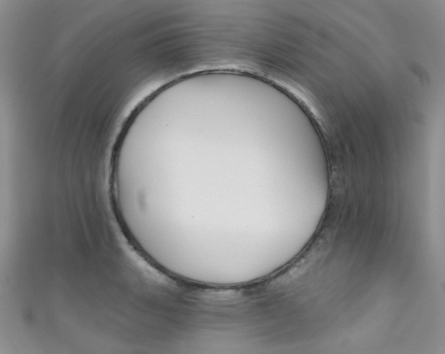 X0000111481135200907141037