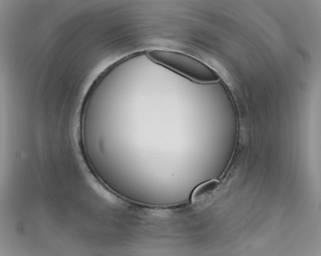 X0000111481136200907141037