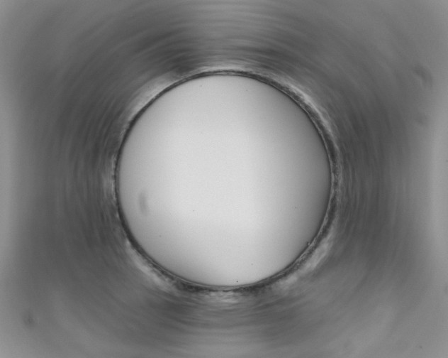 X0000111481137200907141037