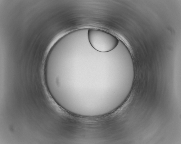 X0000111481138200907141037