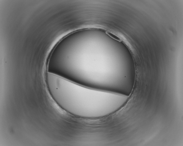 X0000111481140200907141037
