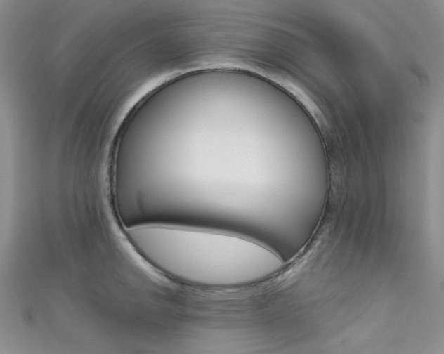 X0000111481142200907141037
