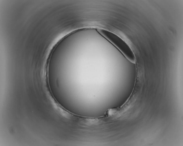 X0000111481144200907141037
