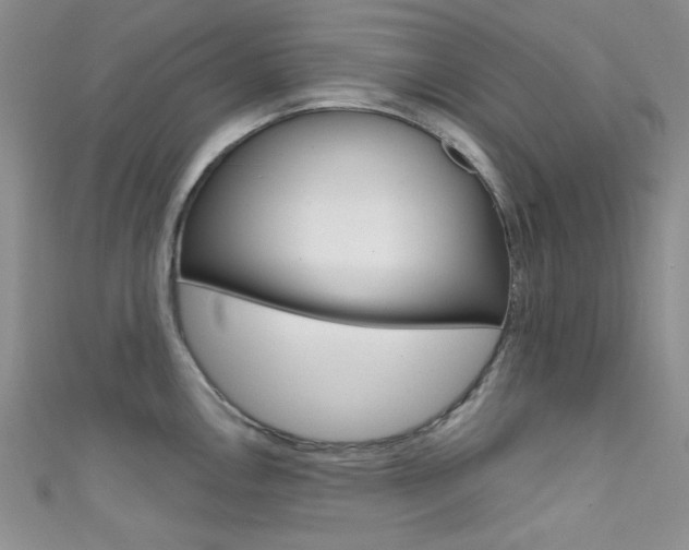 X0000111481146200907141037