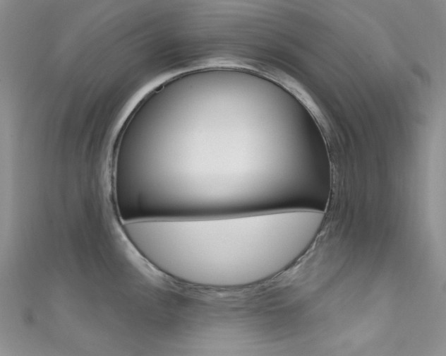 X0000111481148200907141038