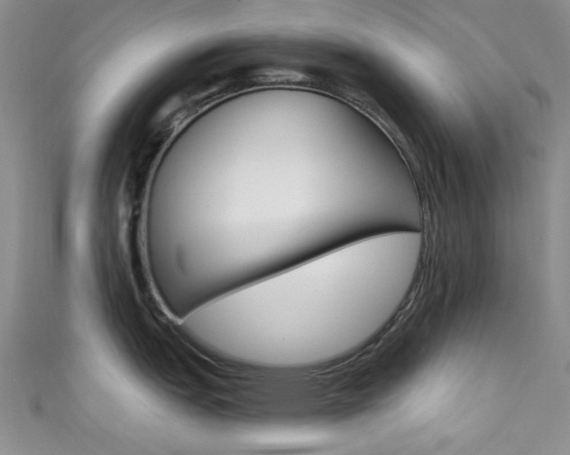 X0000111481151200907141038