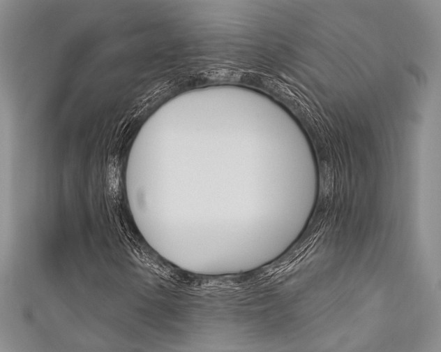 X0000111481154200907141037