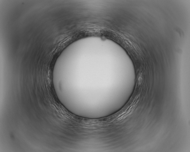X0000111481156200907141037