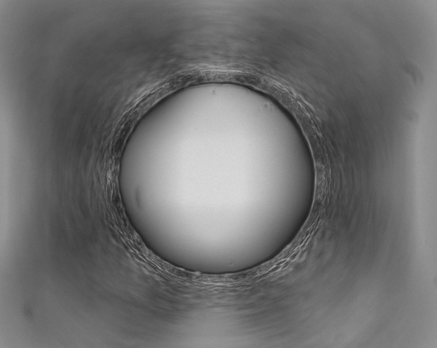 X0000111481157200907141037