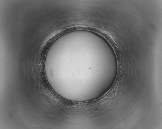 X0000111481159200907141037