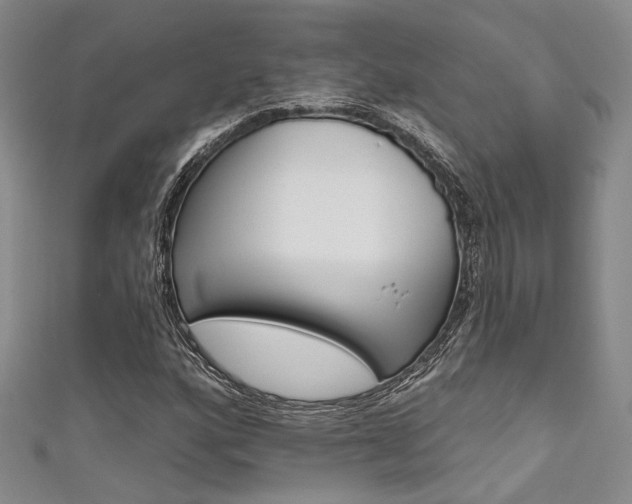 X0000111481160200907141037