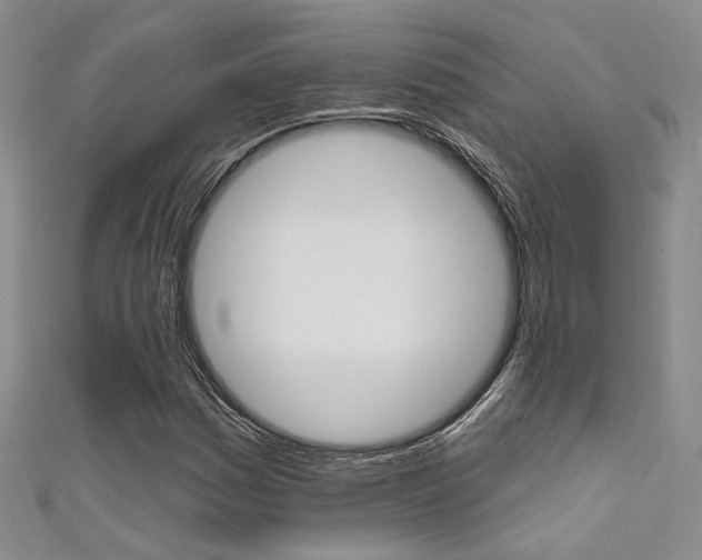 X0000111481161200907141037
