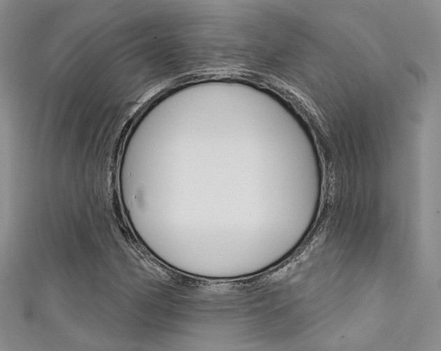 X0000111481162200907141037