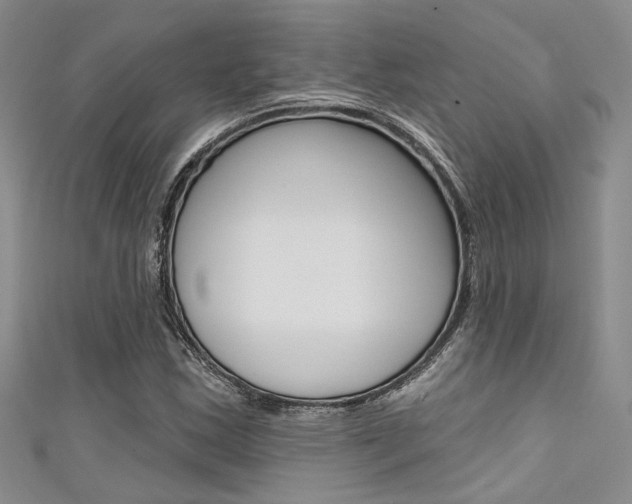 X0000111481163200907141037