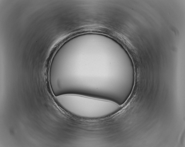 X0000111481164200907141037