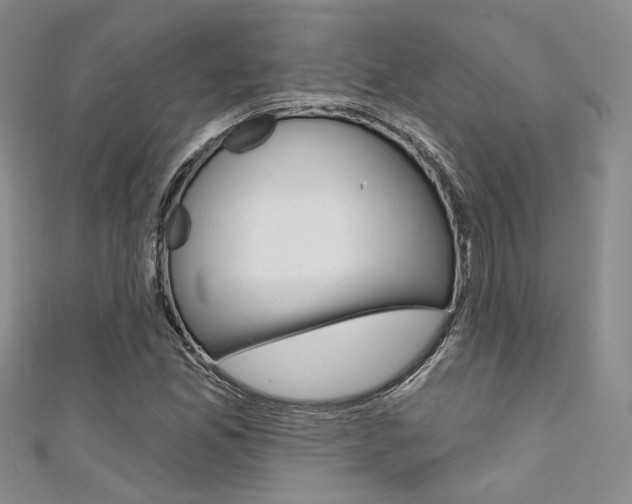 X0000111481165200907141037