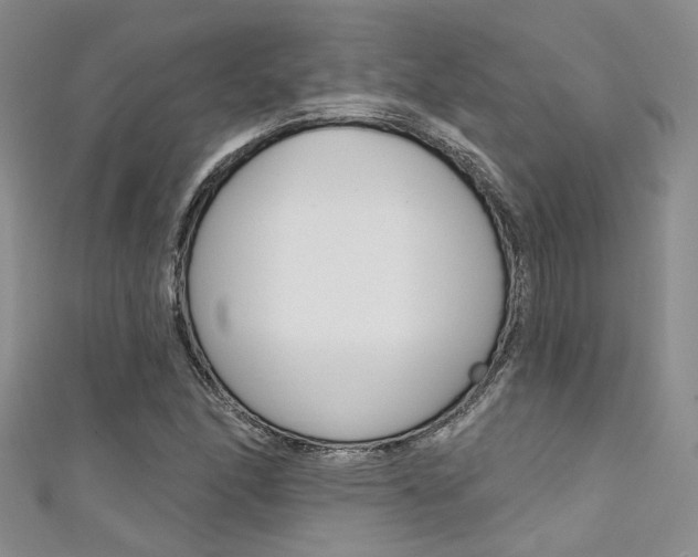 X0000111481166200907141037