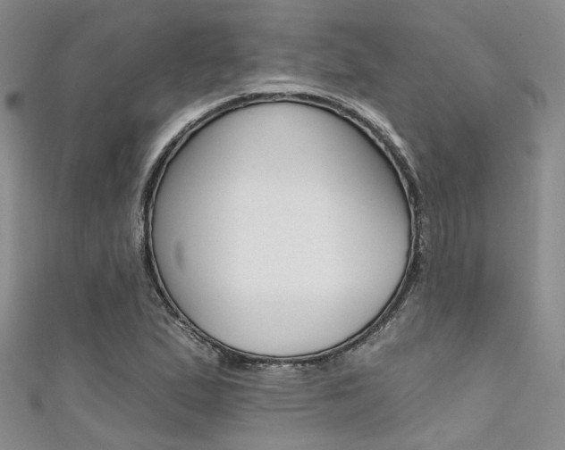 X0000111481167200907141037