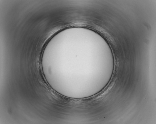 X0000111481170200907141037