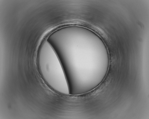 X0000111481172200907141037