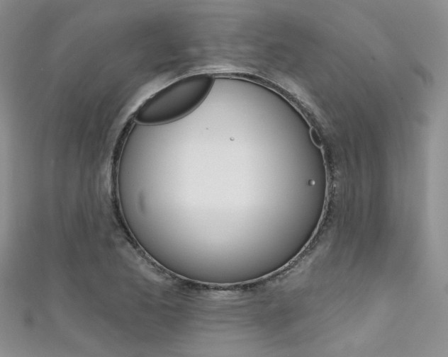 X0000111481173200907141037
