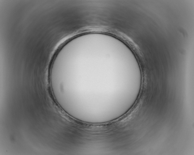 X0000111481174200907141037