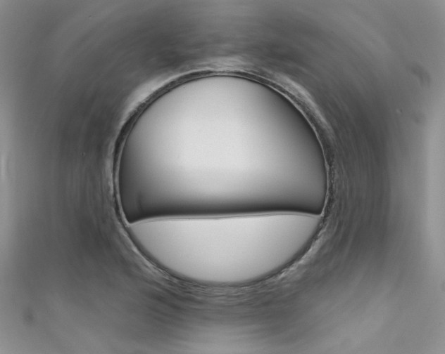 X0000111481176200907141036