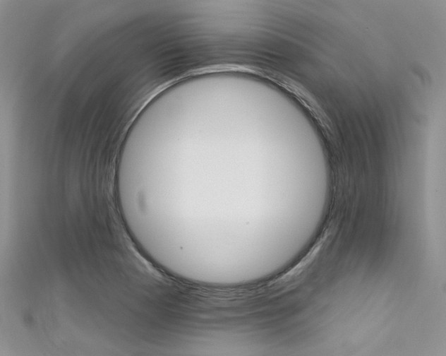X0000111481177200907141036
