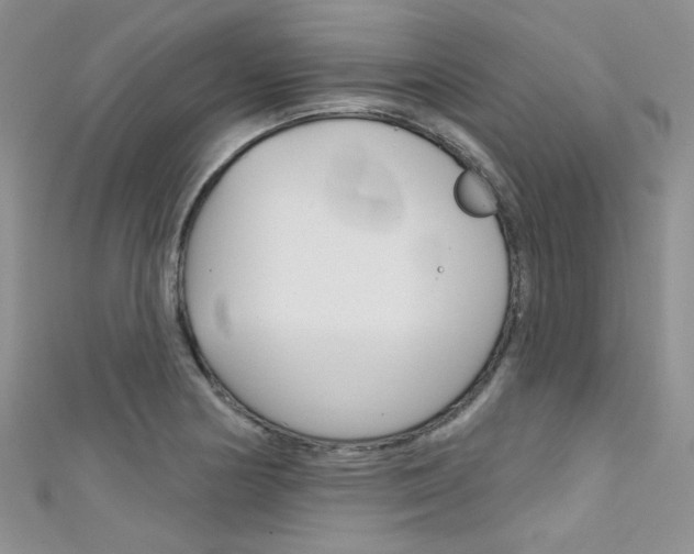 X0000111481178200907141036