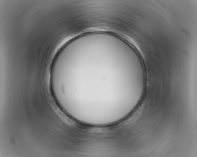 X0000111481179200907141036