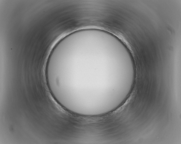 X0000111481181200907141036