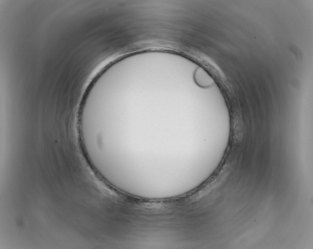 X0000111481182200907141036