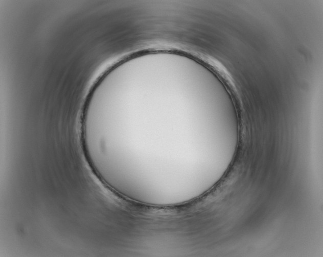 X0000111481183200907141036
