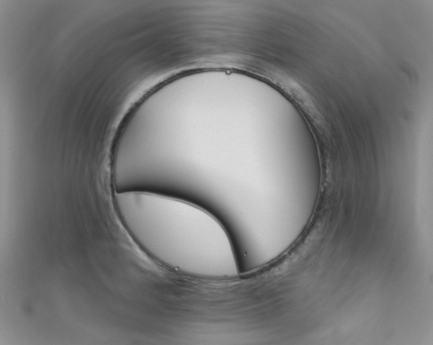 X0000111481184200907141036
