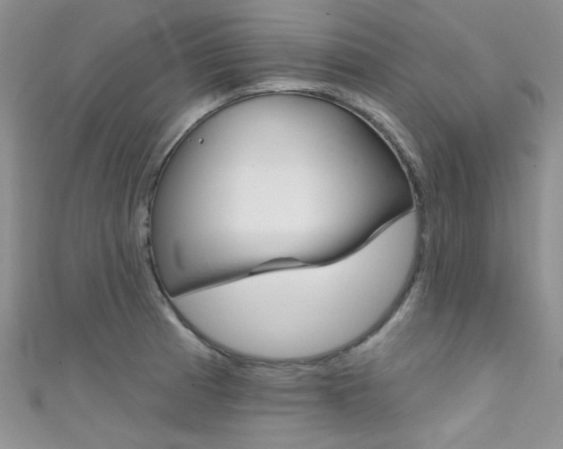 X0000111481185200907141036
