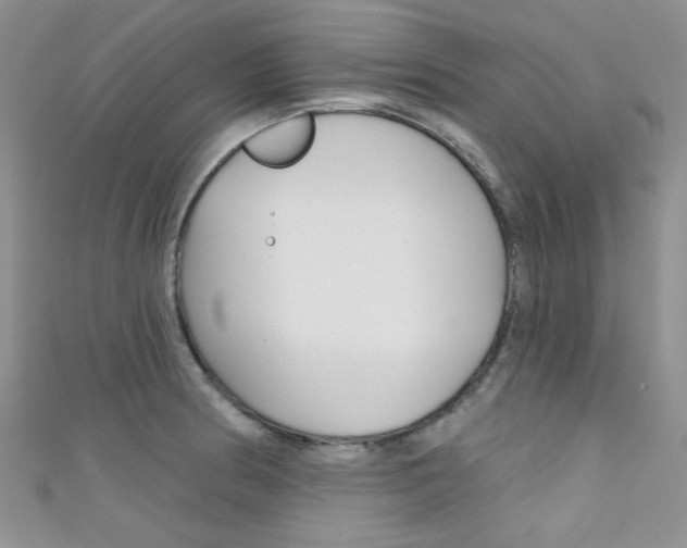 X0000111481186200907141036