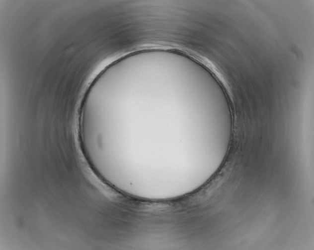 X0000111481187200907141036
