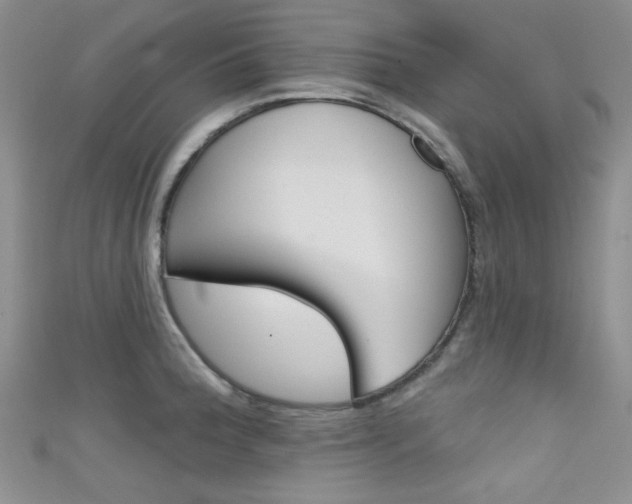 X0000111481188200907141036