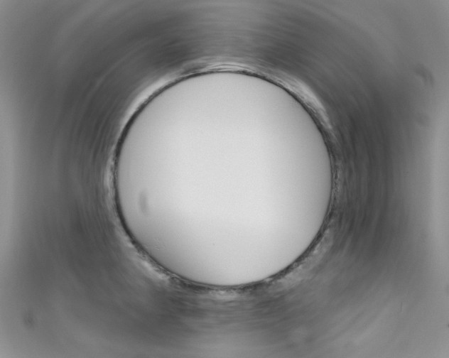X0000111481190200907141036
