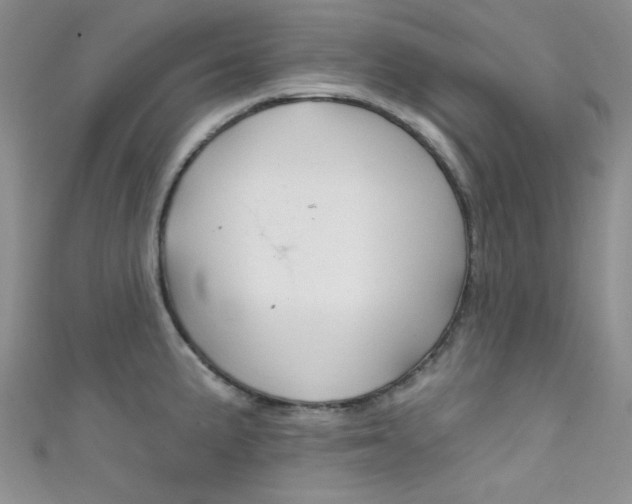 X0000111481191200907141036