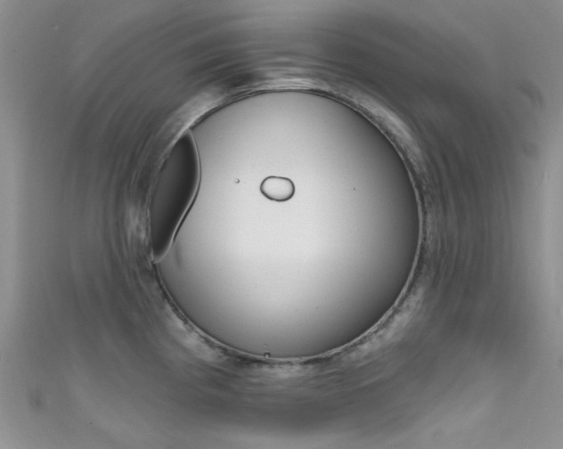 X0000111481193200907141036