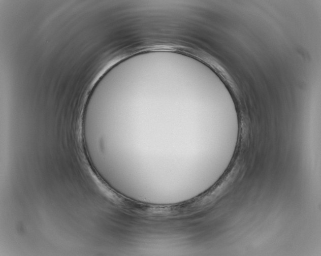 X0000111481194200907141036