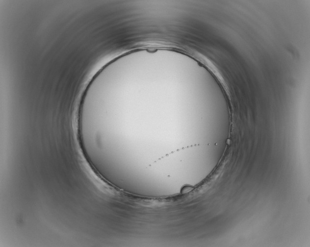 X0000111481195200907141036
