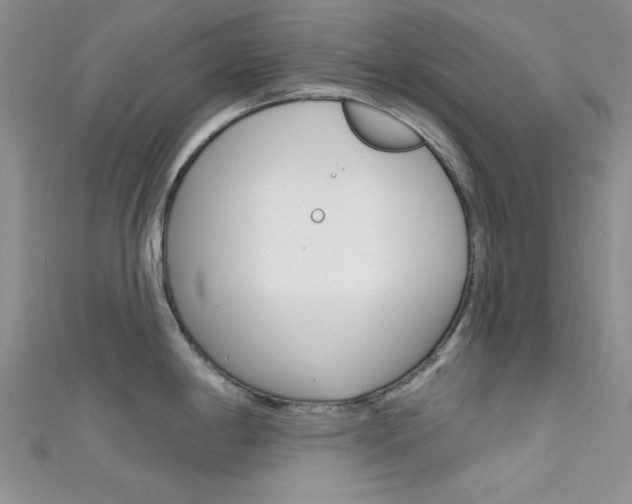 X0000111481198200907141036