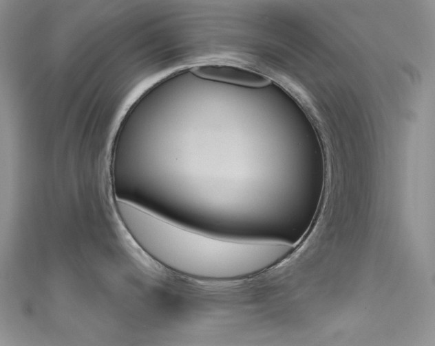 X0000111481200200907141036