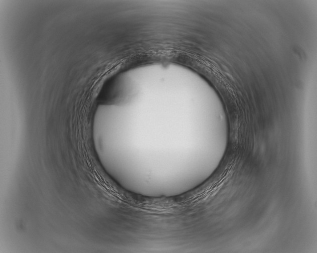 X0000111481201200907141036