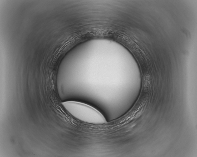 X0000111481202200907141036